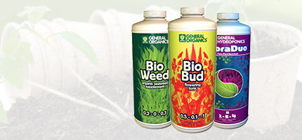 Pest and Disease Control