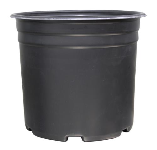 Nursery Pots - Thermoformed