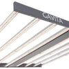 Gavita Pro 1700e LED 120-277 Volt